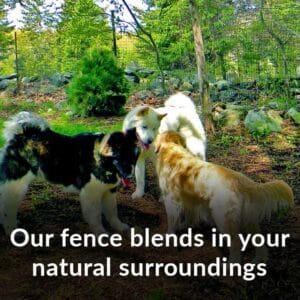 3 dogs blend fence