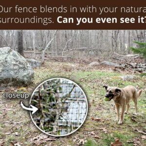 blends-in-dog-mouth