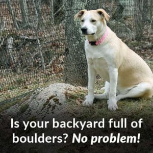 boulders white dog sitting fence