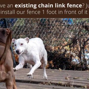 chain-link-fence