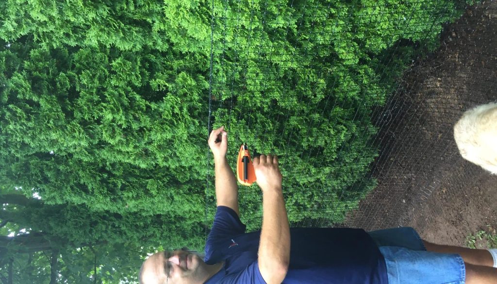 Coyote-Protect-Your-Yard-A-Pet-Owner_s-Essential-Guide