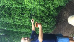 Coyote-Protect-Your-Yard-A-Pet-Owner_s-Essential-Guide