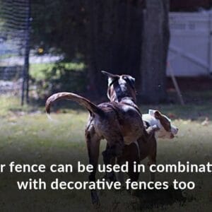 decorative fence dog fence