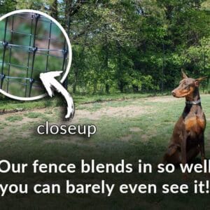 dobermen blend dog fence
