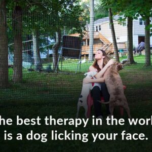 dog therapy