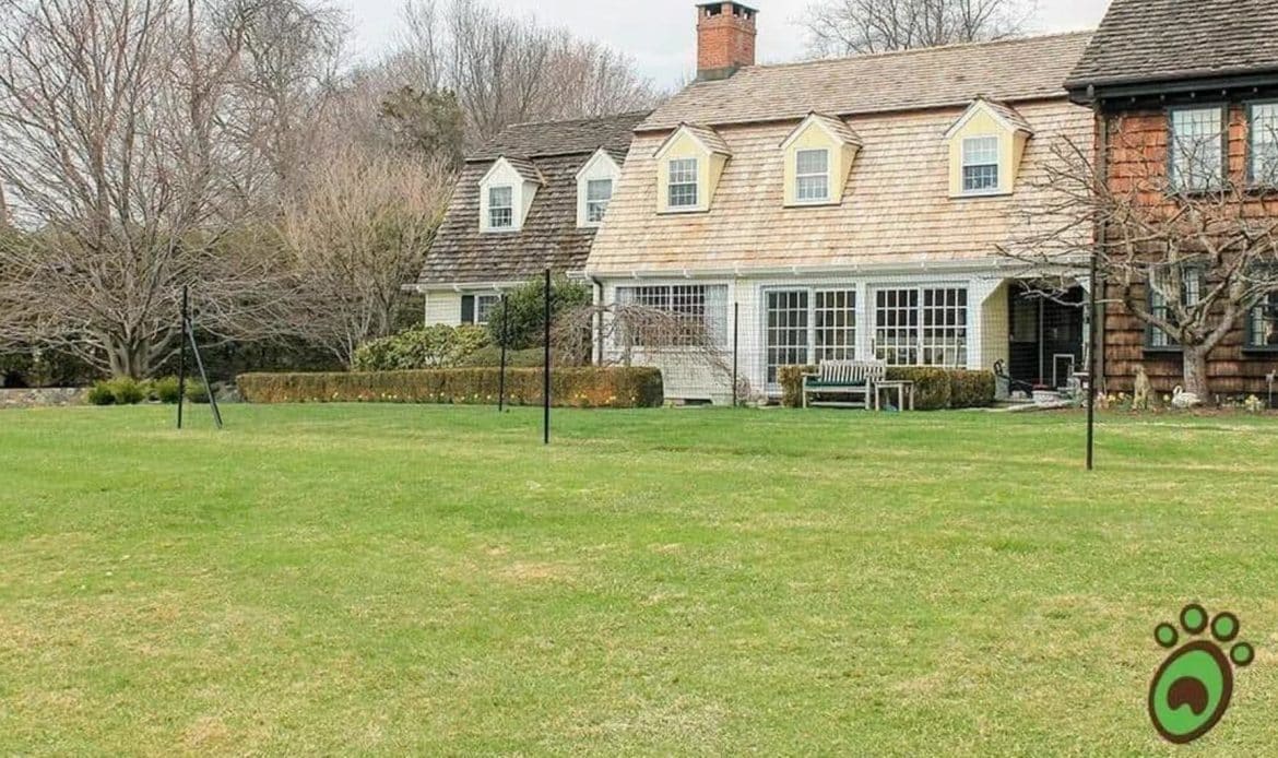 Why Non-Electric Fences Are the Eco-Choice for Pet Owners