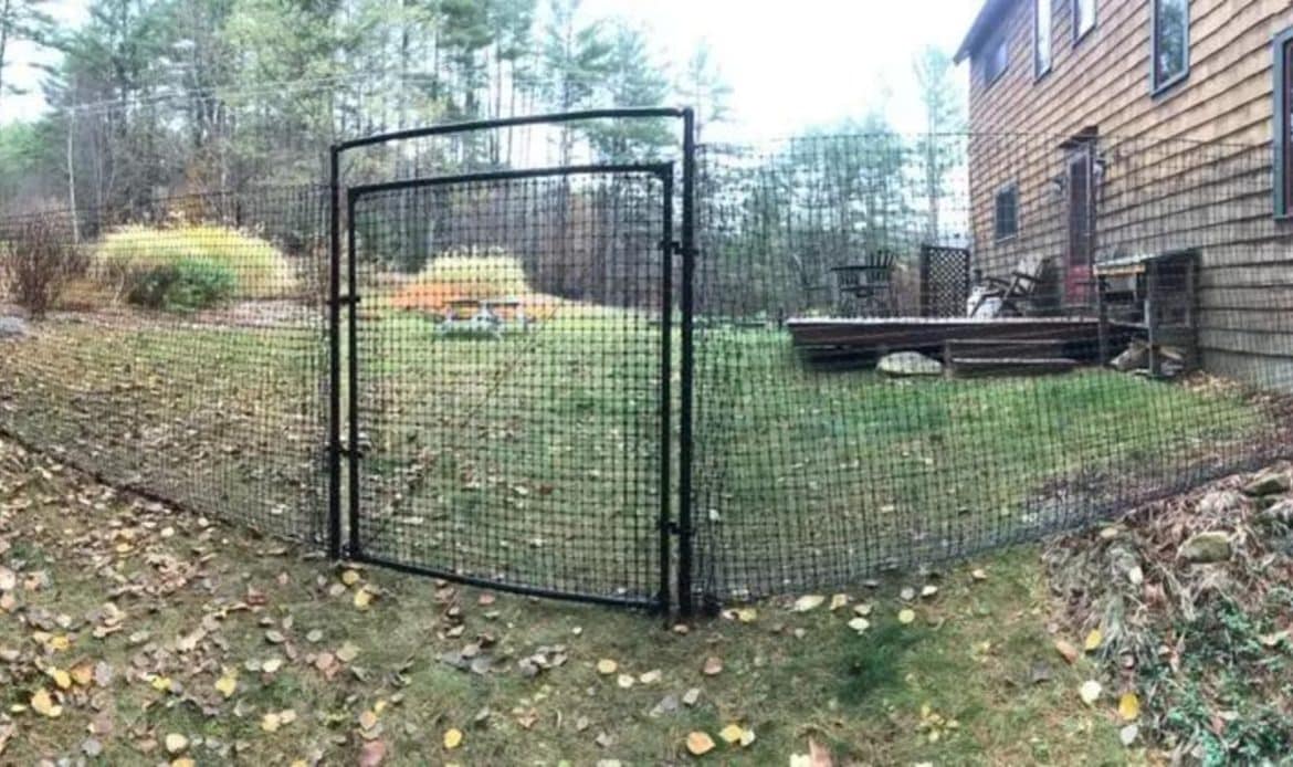 Beyond Functionality Turning Your Pet Fence into Art