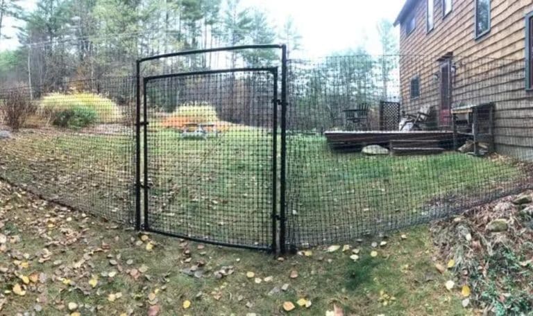 Beyond Functionality Turning Your Pet Fence into Art