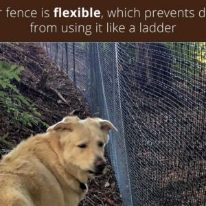 flexible-max-strength