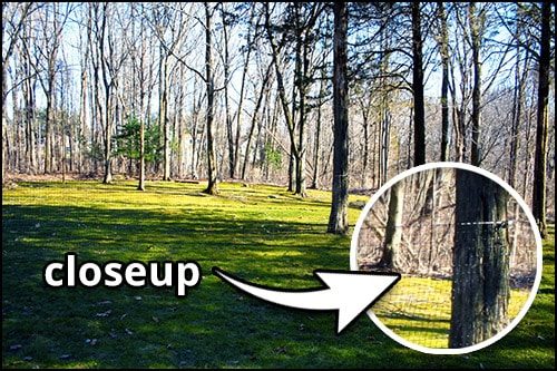 can you even see it?