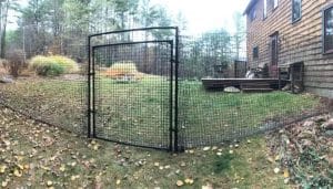 Is-a-Non-Electric-Dog-Fence-Right-for-Your-Yard_-_2025_