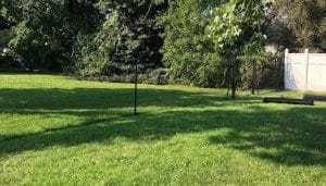 Is-Your-Current-Fence-Truly-Pet-Safe_-_Checklist_