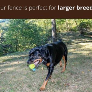 larger-breeds-dog-fence