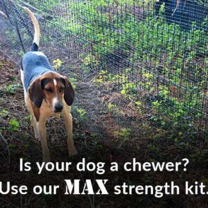 max strength beagle dog fence