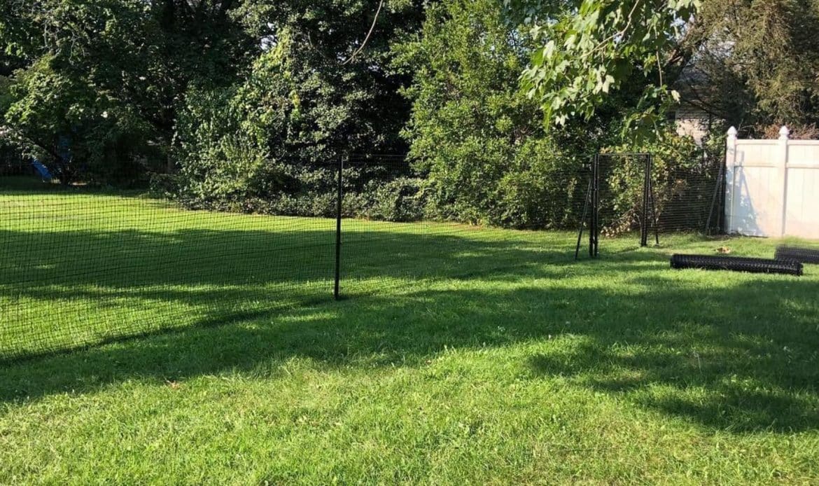 Navigating HOA Rules for Pet Fencing A Homeowner's Guide