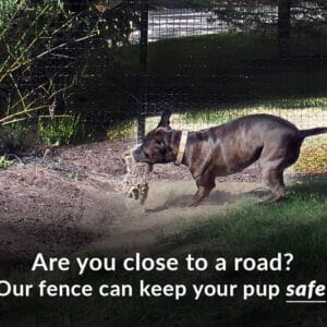 pit road safe dog fence
