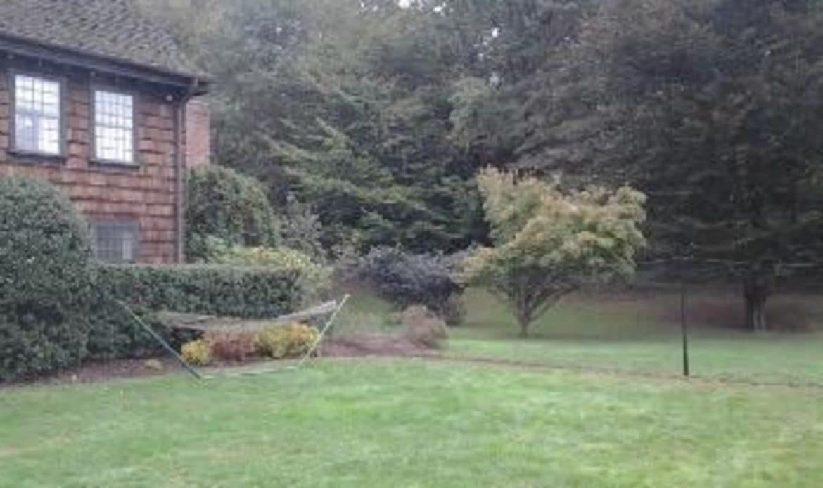 Fencing on the Go Solutions for Traveling Pet Owners