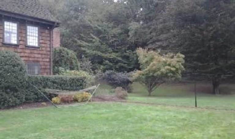 Fencing on the Go Solutions for Traveling Pet Owners