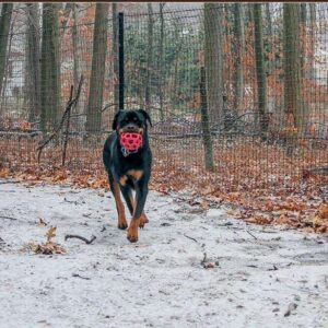 snow2-e1685756814118