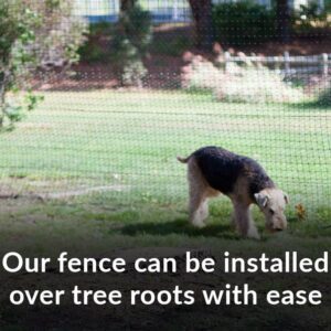 tree roots dog fence