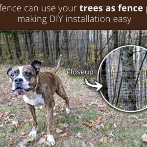 trees-as-fence-posts