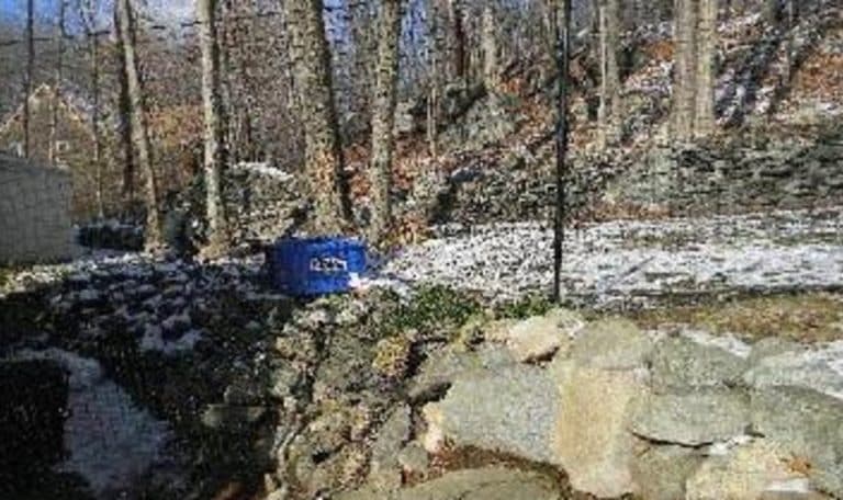 Maximizing Small Spaces Urban Pet Fencing Tricks