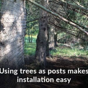 using tres as posts install easy dog fence