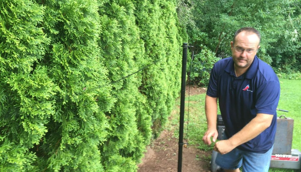 Why-Visible-Fences-are-safer-than-Invisible-Ones-for-Dogs