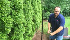 Why-Visible-Fences-are-safer-than-Invisible-Ones-for-Dogs