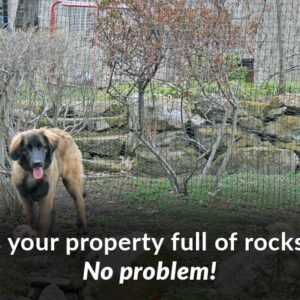 yellow black soccer ball dog fence