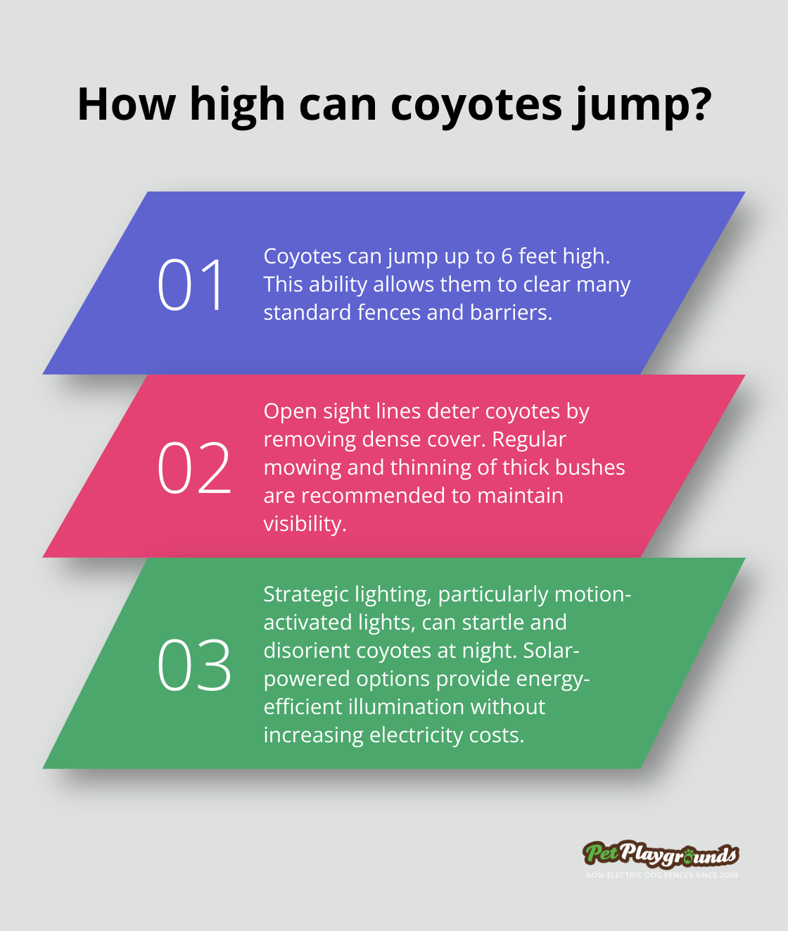 Infographic: How high can coyotes jump?