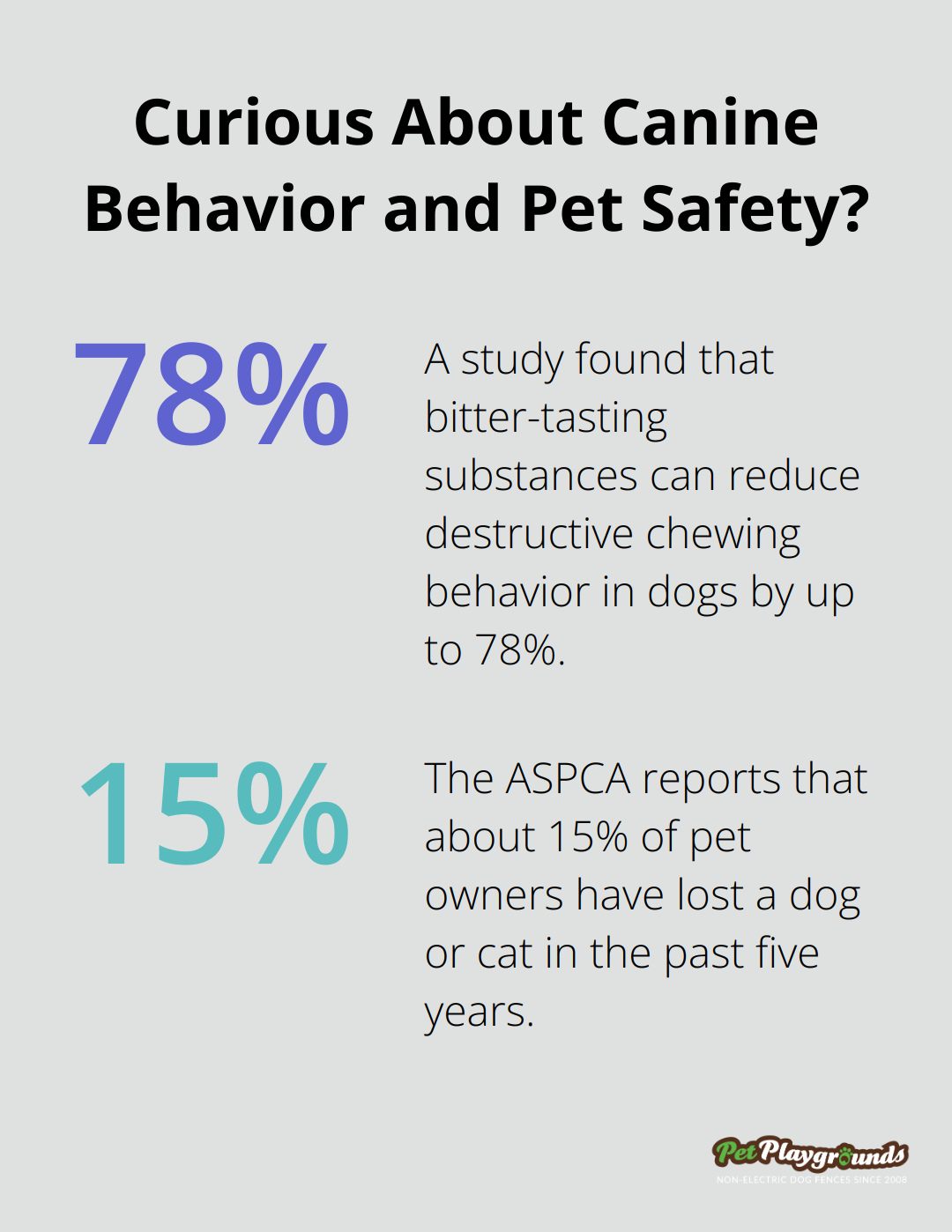 Infographic: Curious About Canine Behavior and Pet Safety?