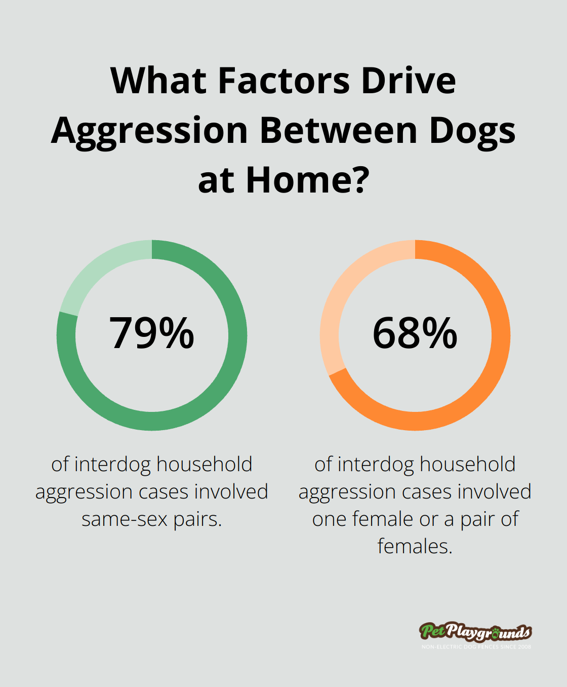 Infographic: What Factors Drive Aggression Between Dogs at Home? - Multi-dog solution