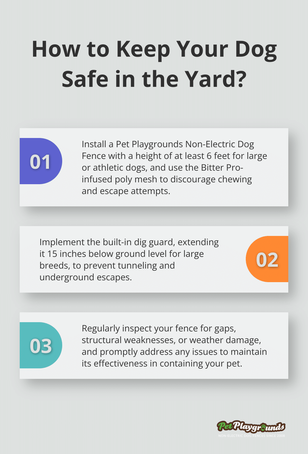 Infographic: How to Keep Your Dog Safe in the Yard?