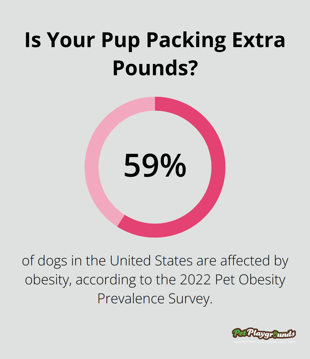 Infographic: Is Your Pup Packing Extra Pounds? - Pet security