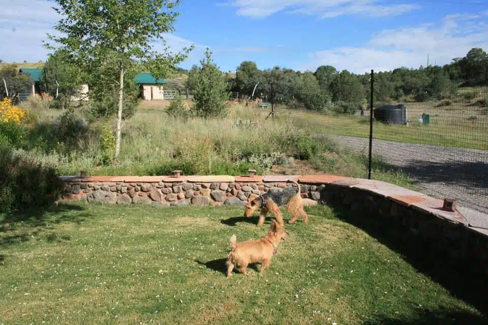 Pet playground Dog Fences 07