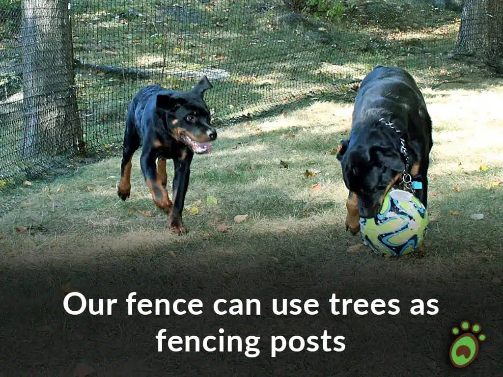 Pet playground Dog Fences 09