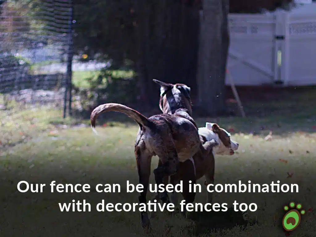 Pet playground Dog Fences