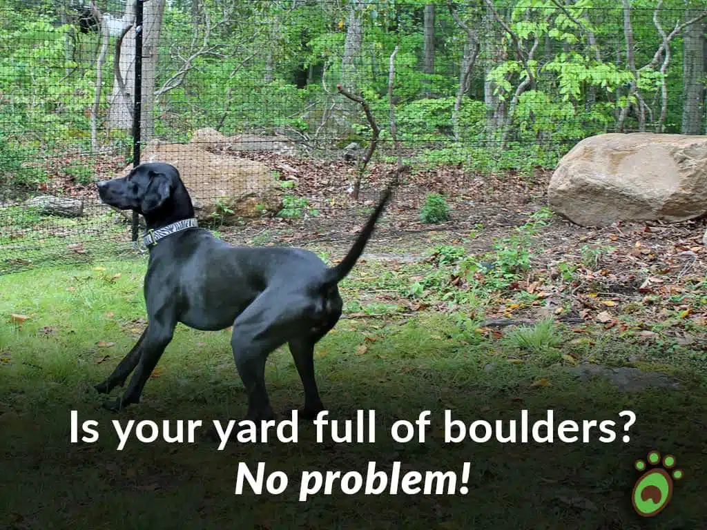 Pet playground Dog Fences