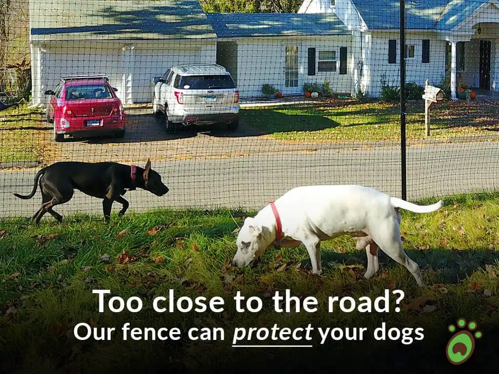 Pet playground Dog Fences