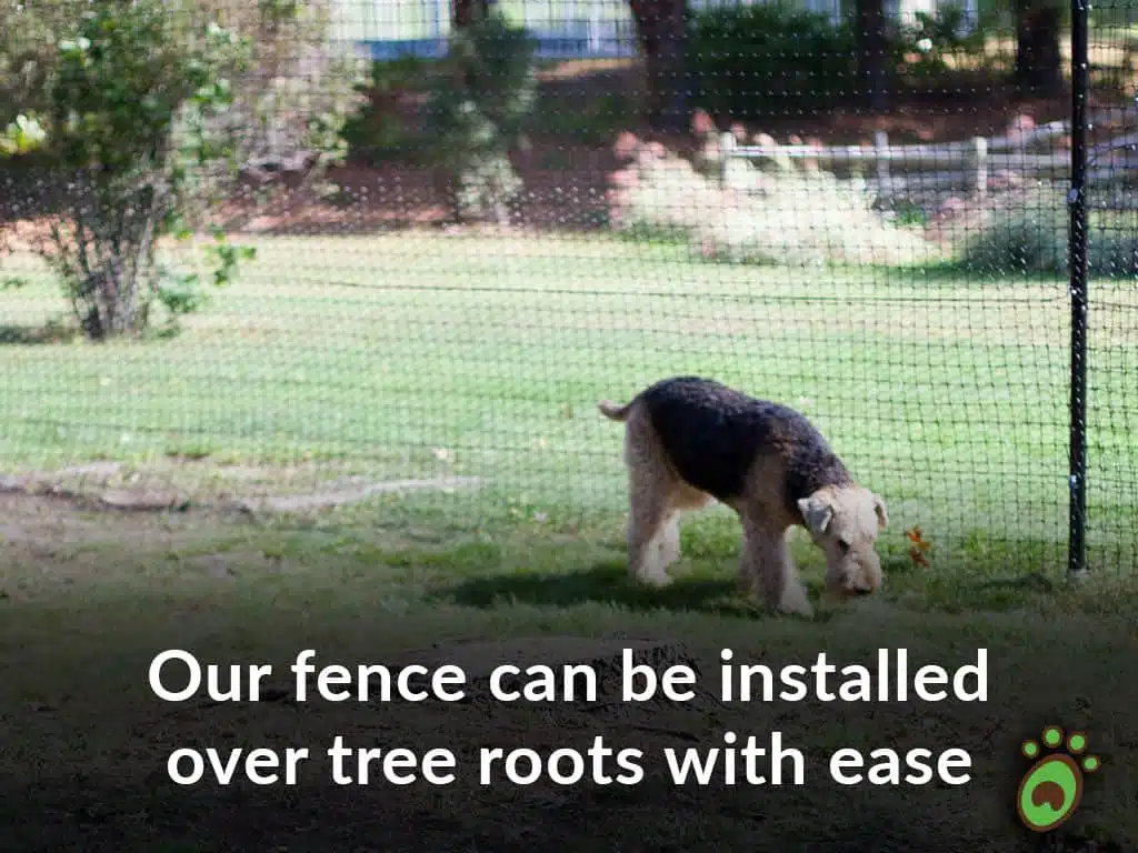Pet playground Dog Fences