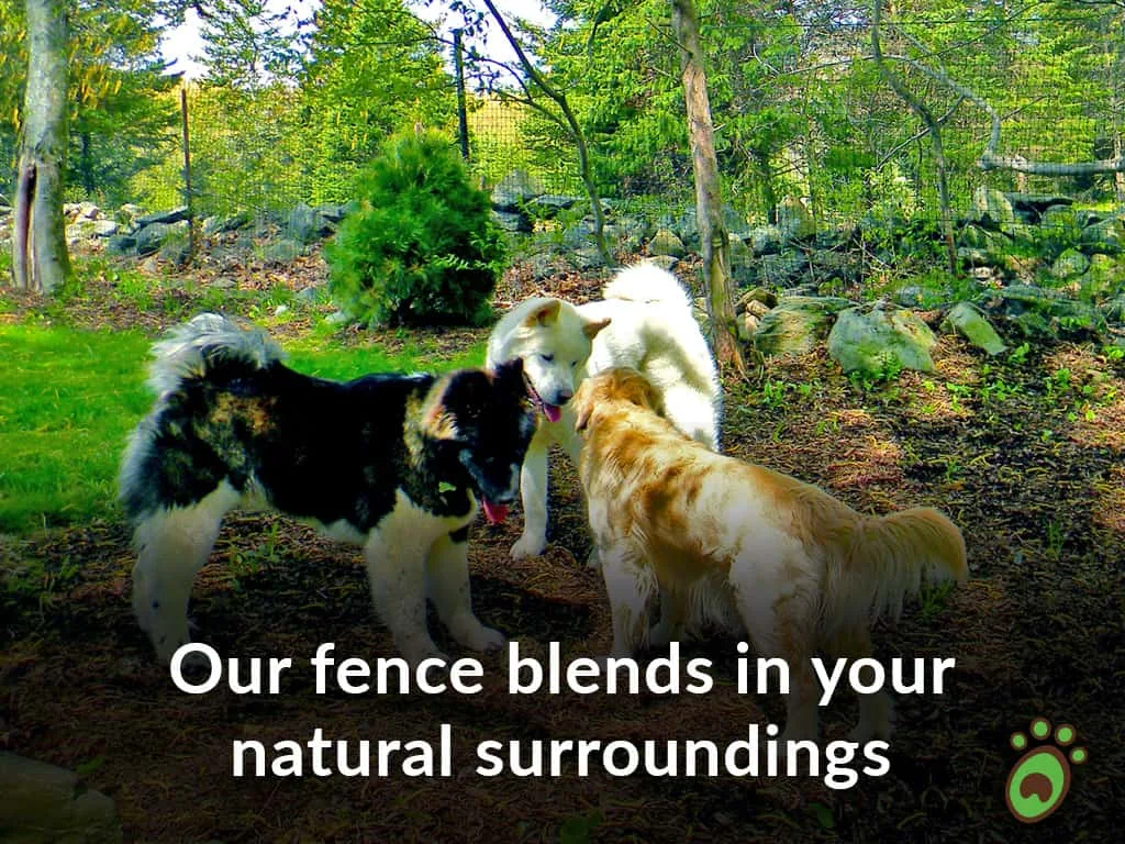 Pet playground Dog Fences