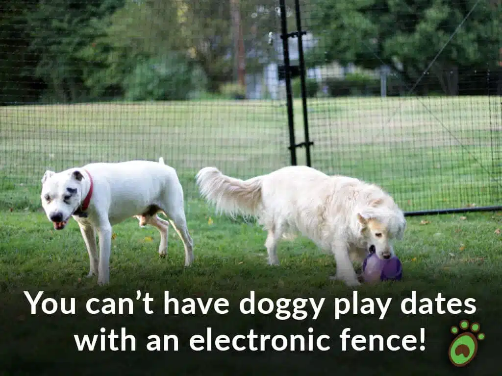 Pet playground Dog Fences