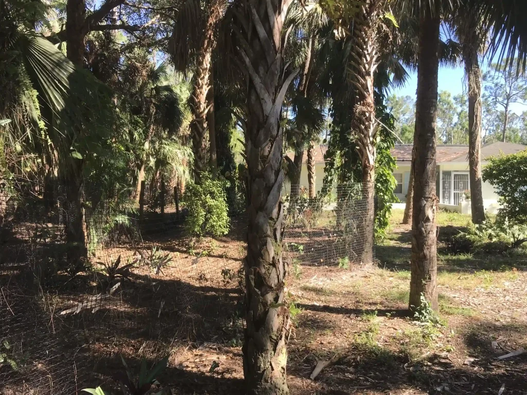 Pet playground Dog Fences