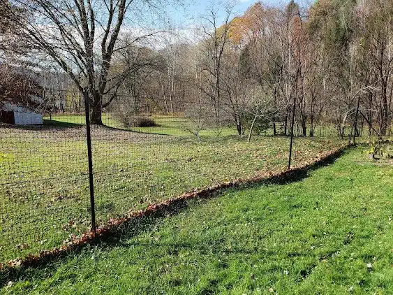 Pet playground Dog Fences