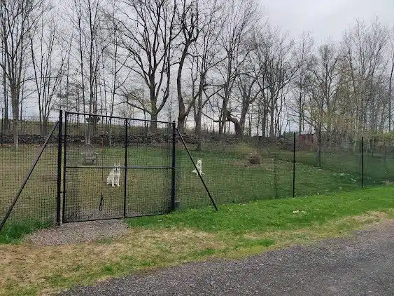 Pet playground Dog Fences