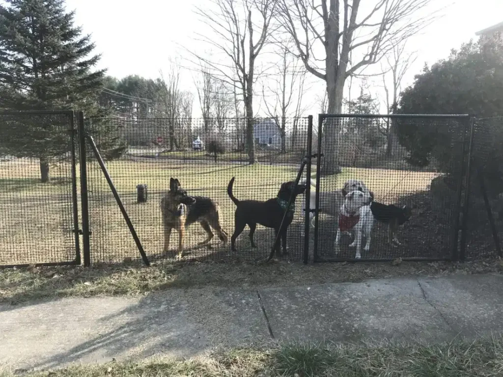 Pet playground Dog Fences