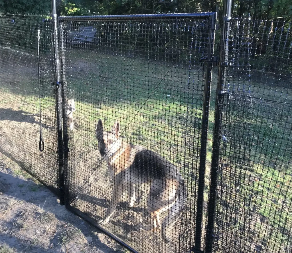 Pet playground Dog Fences