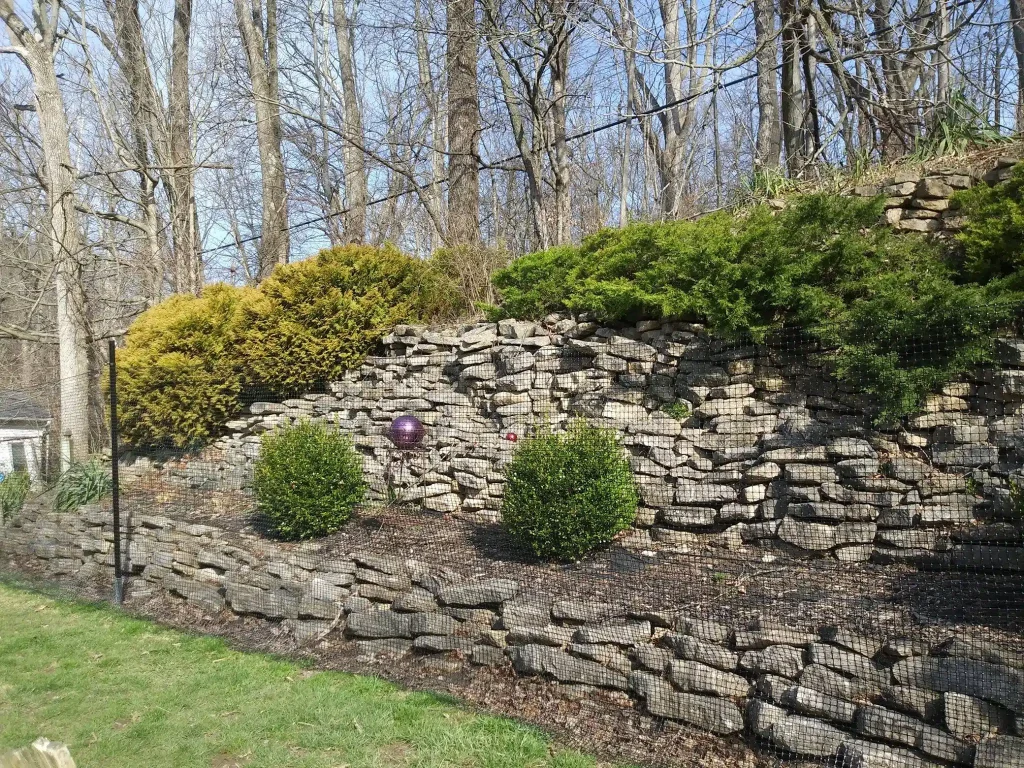 Pet playground Dog Fences