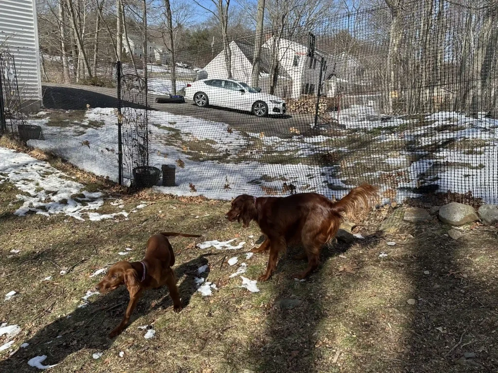 Pet playground Dog Fences